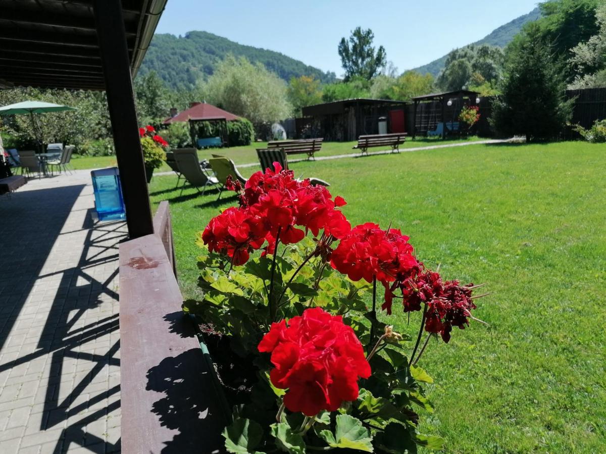 Cabana Poiana Galdei Dış mekan fotoğraf