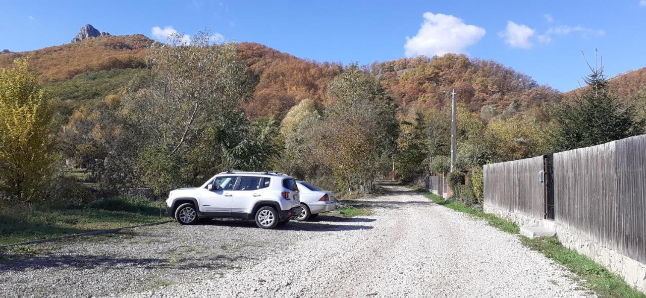 Cabana Poiana Galdei Dış mekan fotoğraf