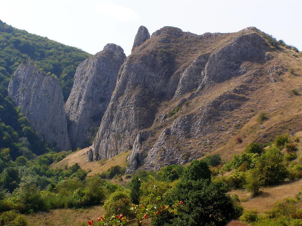 Cabana Poiana Galdei Dış mekan fotoğraf
