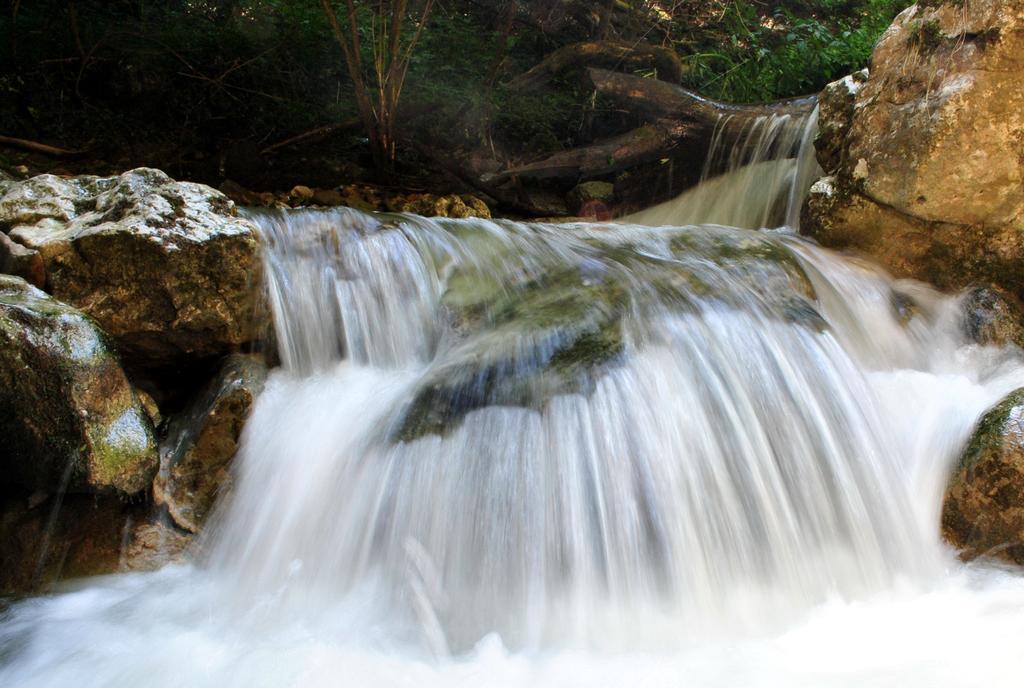 Cabana Poiana Galdei Dış mekan fotoğraf