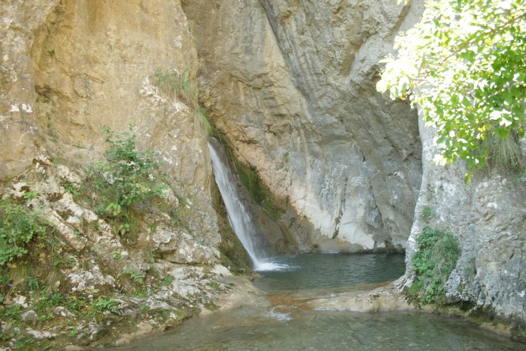 Cabana Poiana Galdei Dış mekan fotoğraf
