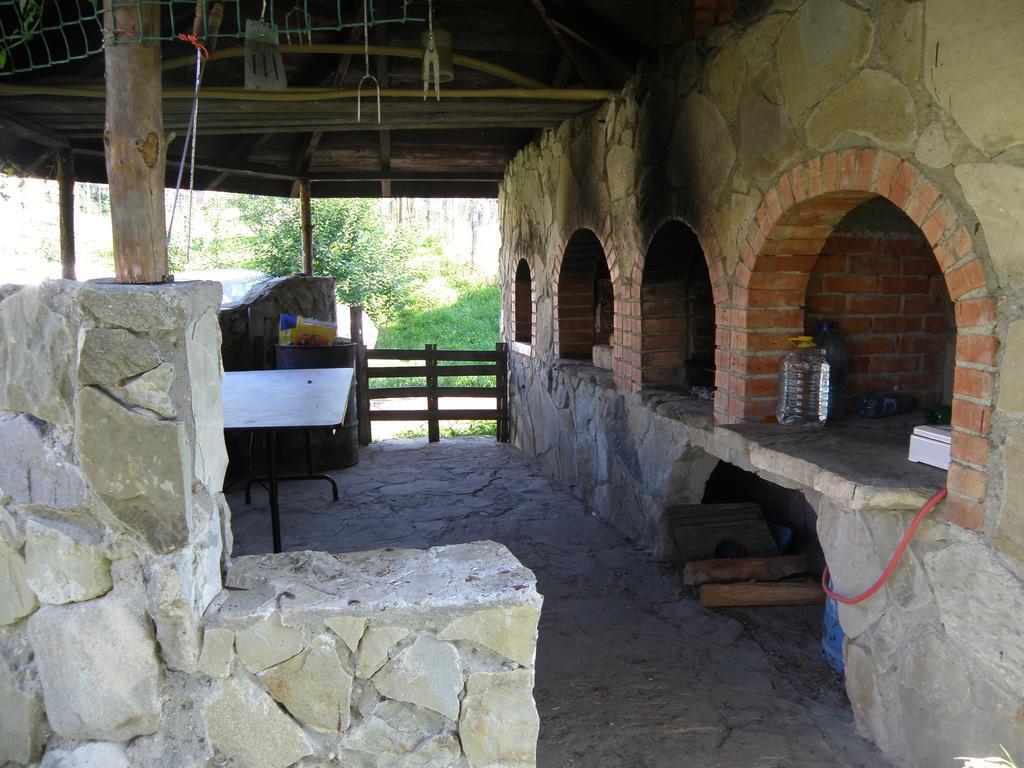 Cabana Poiana Galdei Dış mekan fotoğraf