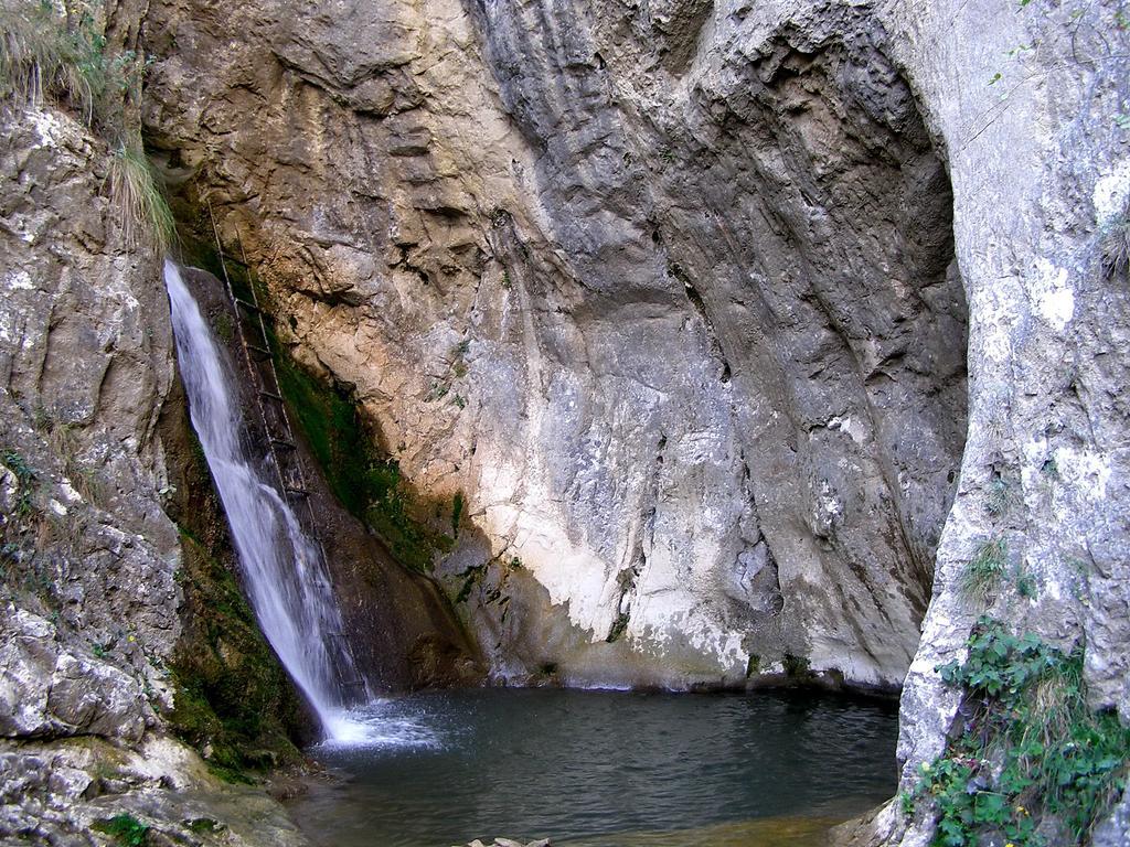 Cabana Poiana Galdei Dış mekan fotoğraf