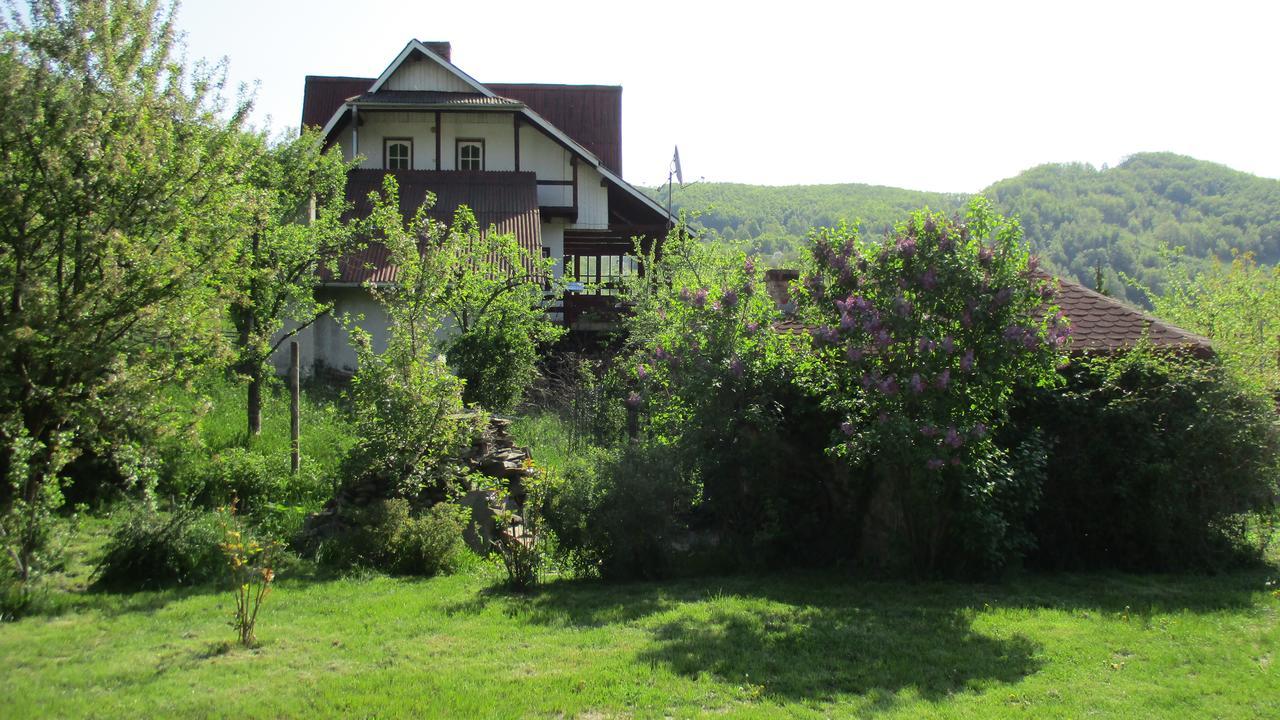 Cabana Poiana Galdei Dış mekan fotoğraf