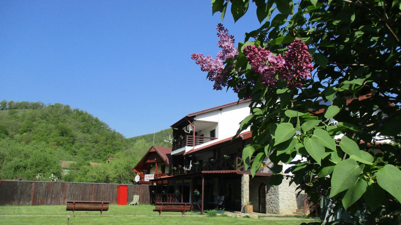 Cabana Poiana Galdei Dış mekan fotoğraf