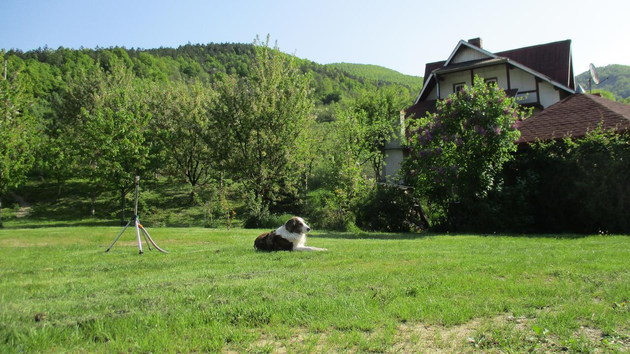 Cabana Poiana Galdei Dış mekan fotoğraf